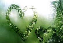 意昂体育官网:生涯百冠一步之遥!德约横扫跻身迈阿密决赛,超越费德勒再创纪录.