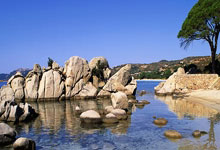 意昂体育官网：[德甲]拜仁战胜弗赖堡 取得德甲五连胜.